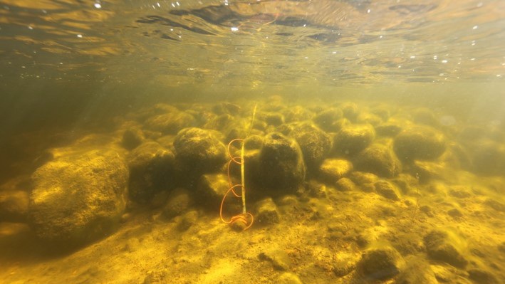 Stone structure in shallow water.